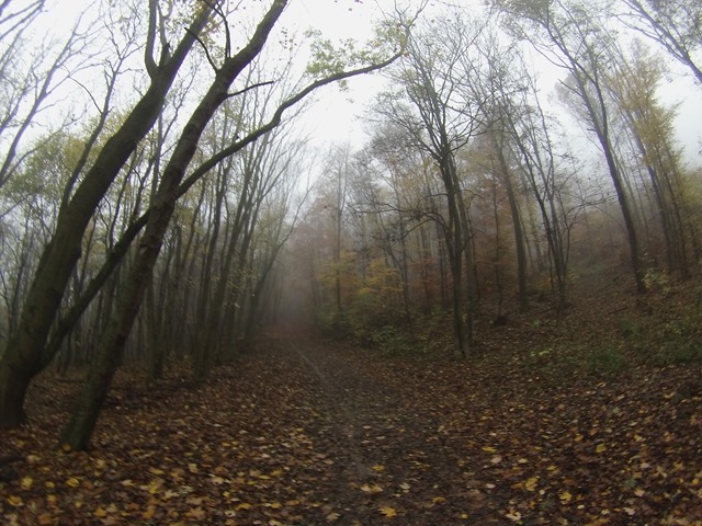 20131026 Stadtwanderweg02  (7)