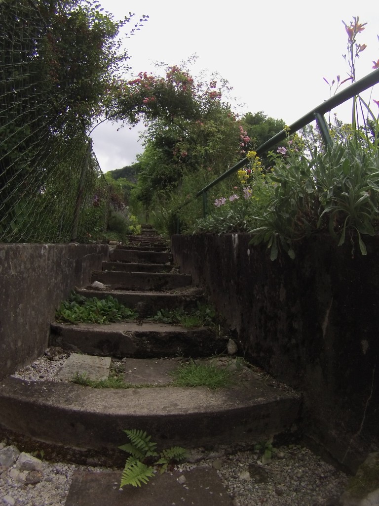 DCIM120GOPRO