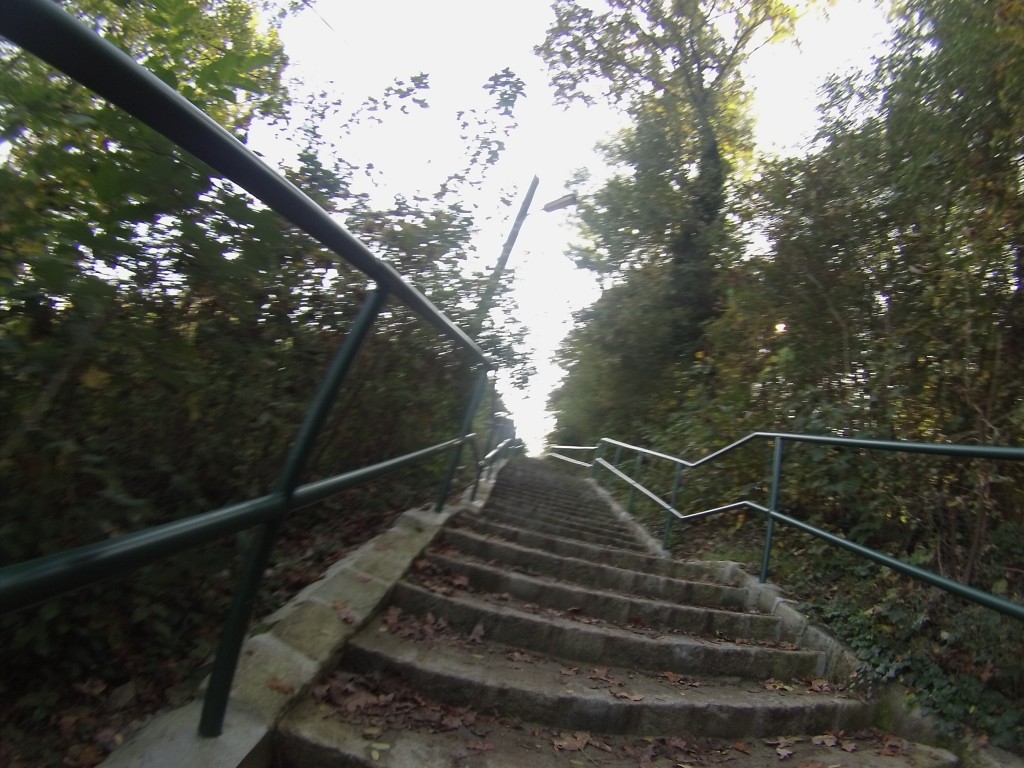 DCIM122GOPRO