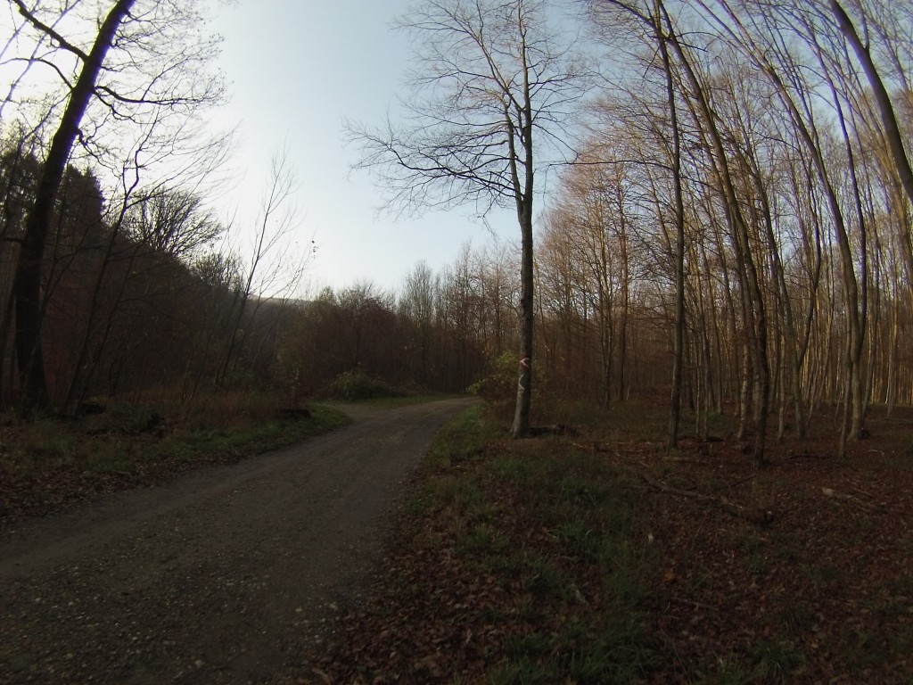 DCIM122GOPRO