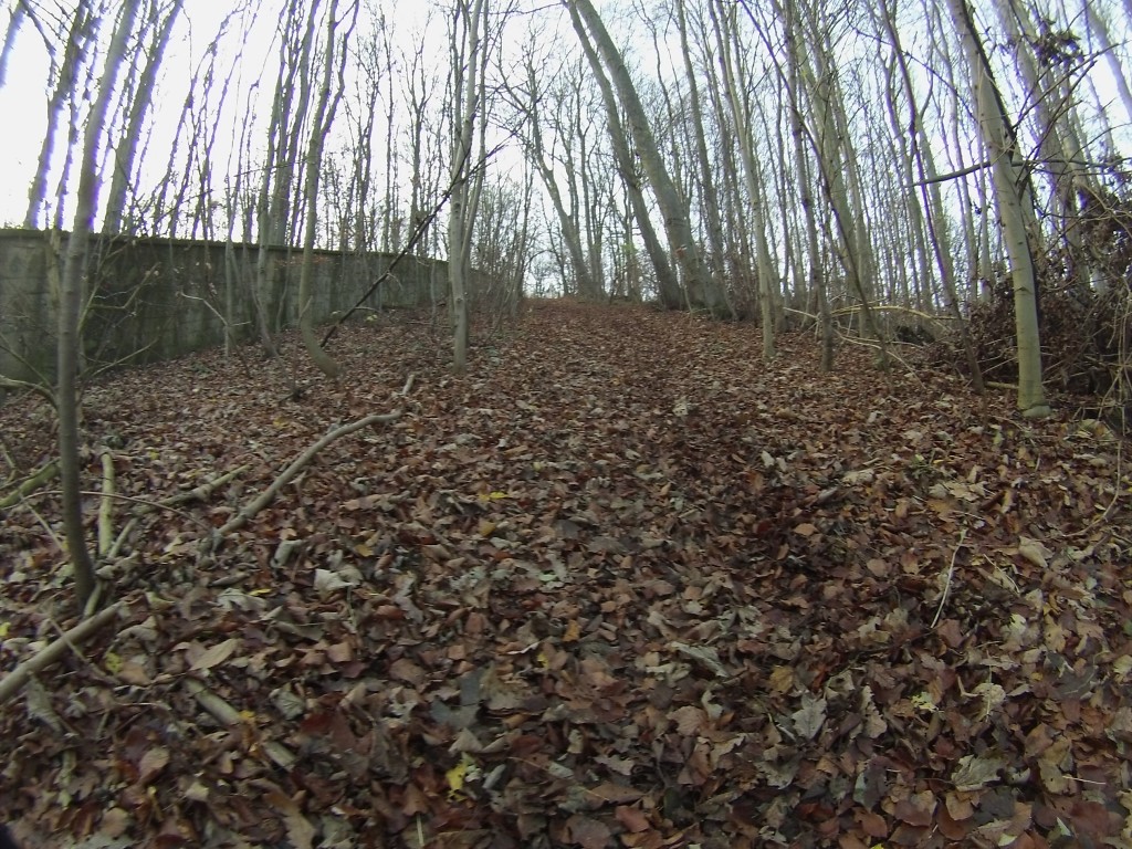 DCIM122GOPRO