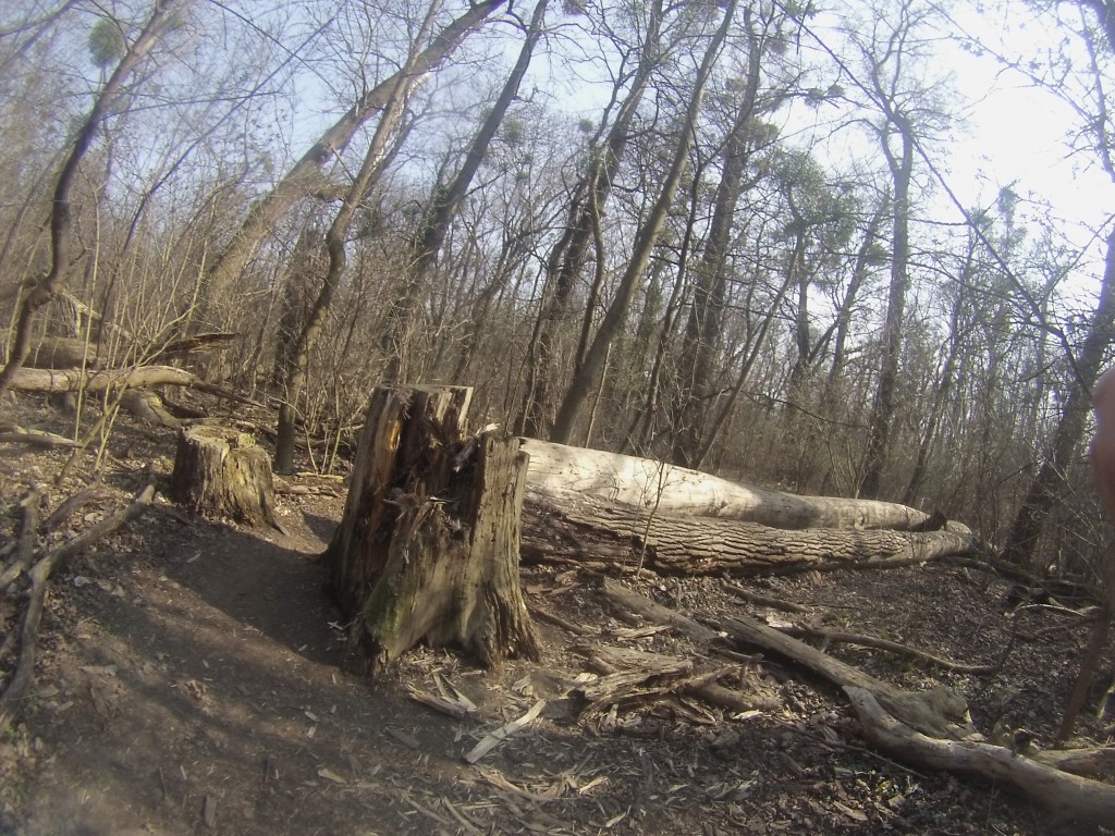 DCIM124GOPRO