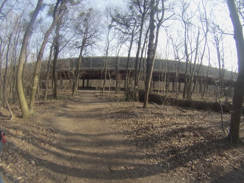 DCIM124GOPRO