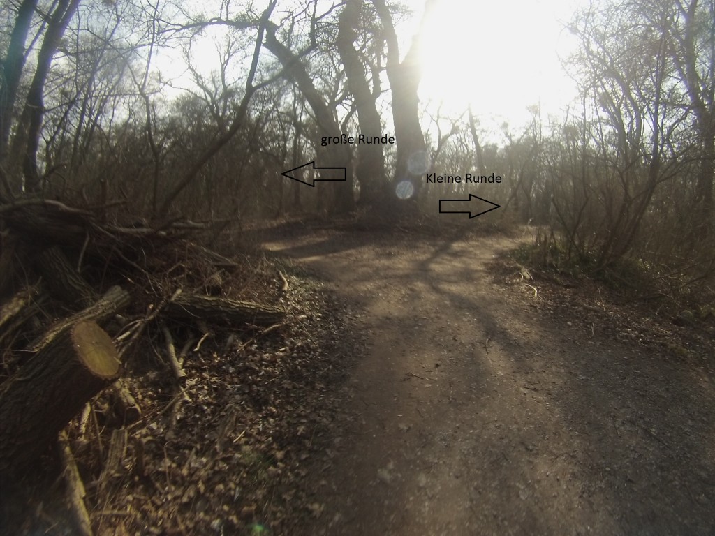 DCIM125GOPRO