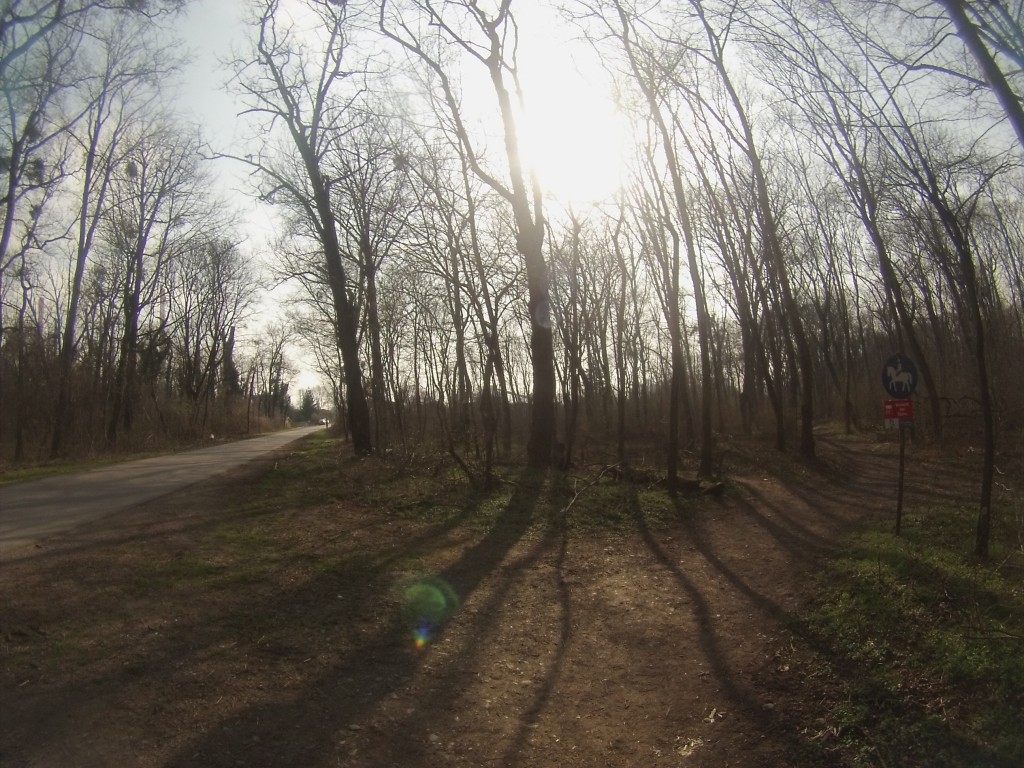 DCIM125GOPRO