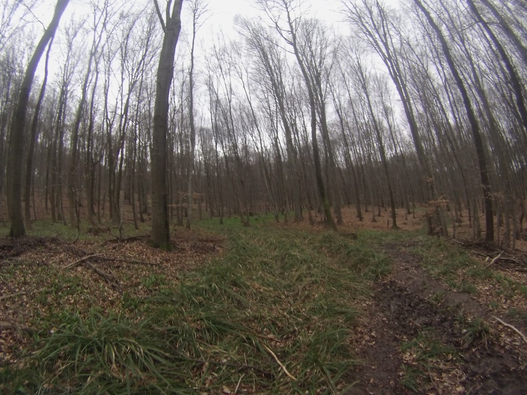 DCIM128GOPRO